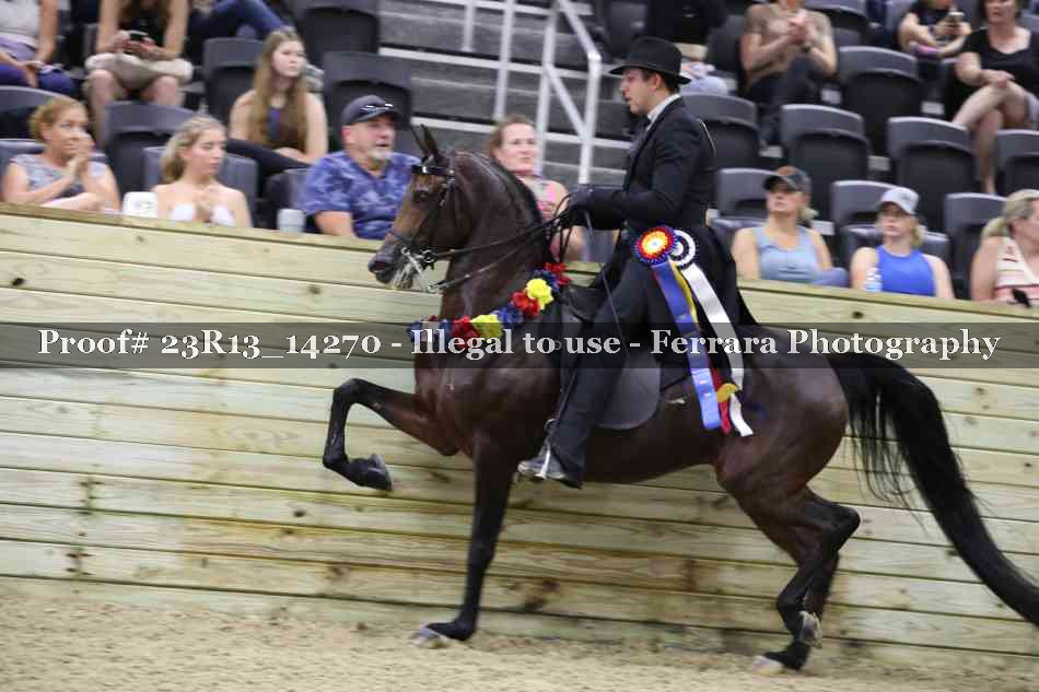 Proof Number 23R13_14270