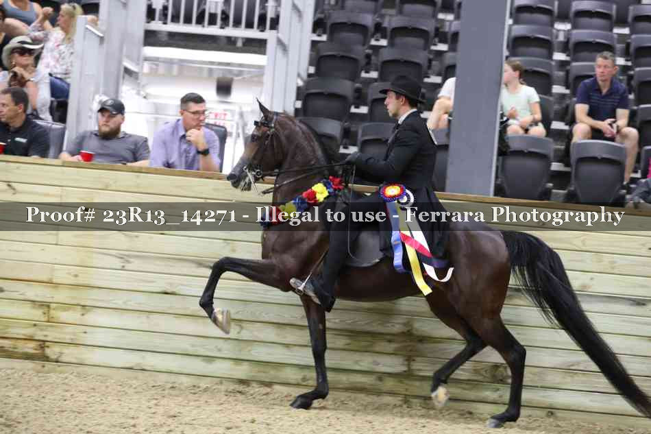 Proof Number 23R13_14271