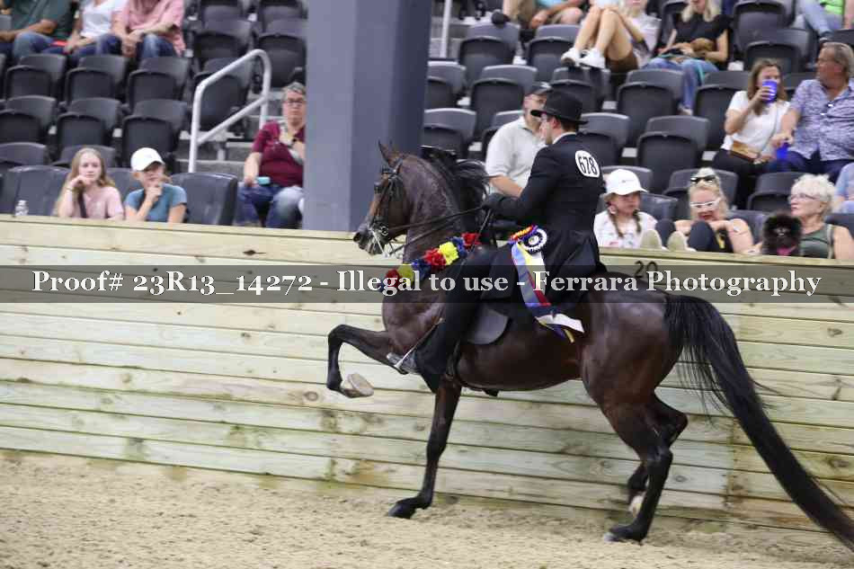 Proof Number 23R13_14272