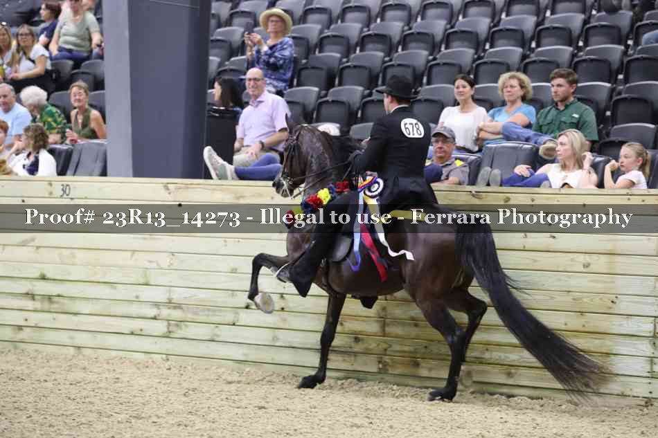 Proof Number 23R13_14273