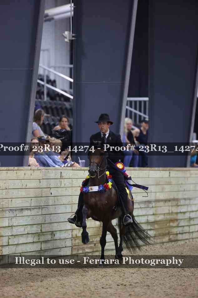 Proof Number 23R13_14274