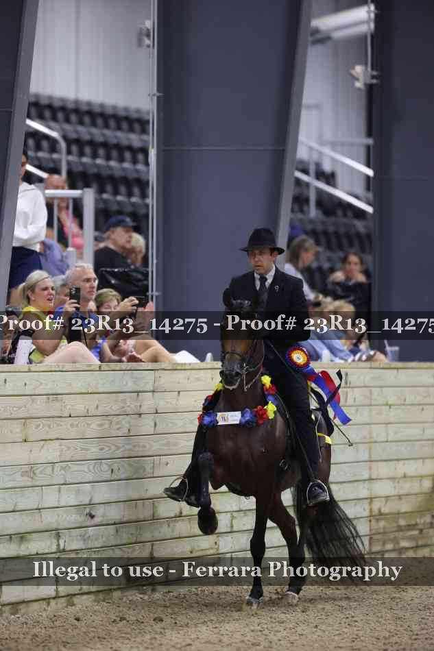 Proof Number 23R13_14275