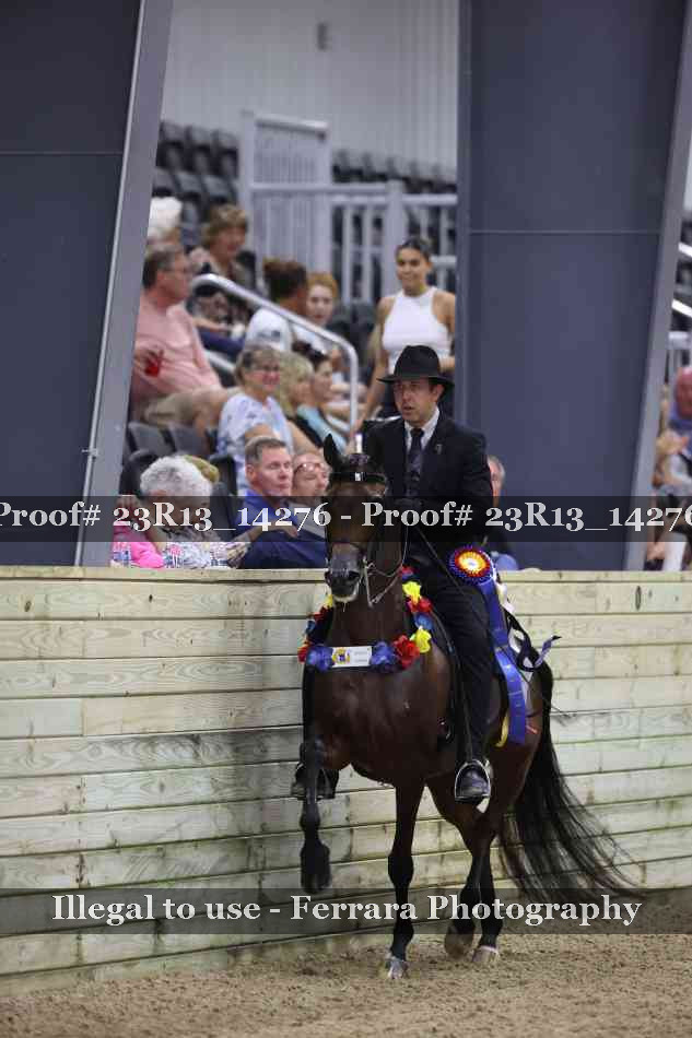 Proof Number 23R13_14276