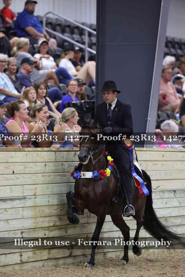 Proof Number 23R13_14277
