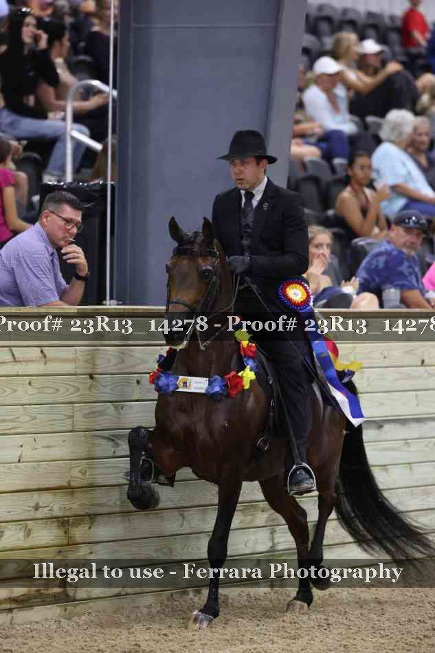 Proof Number 23R13_14278