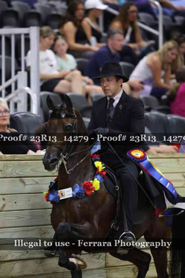 Proof Number 23R13_14279