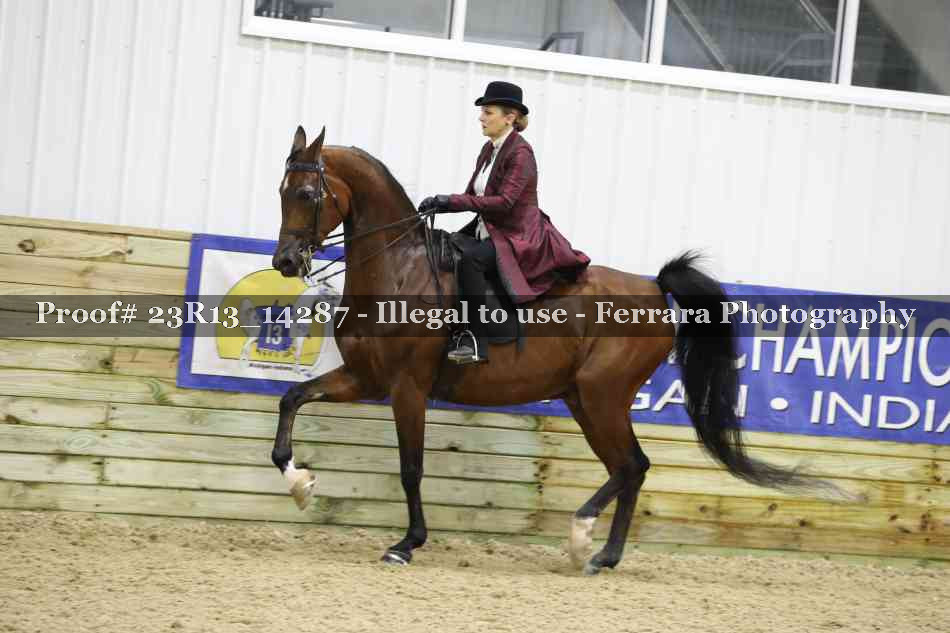 Proof Number 23R13_14287
