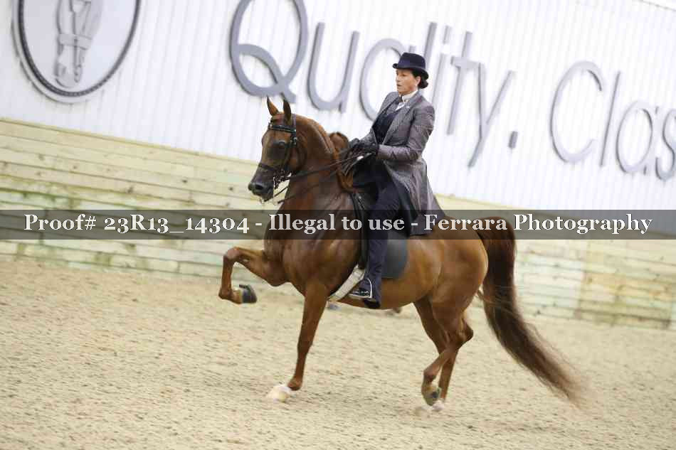 Proof Number 23R13_14304