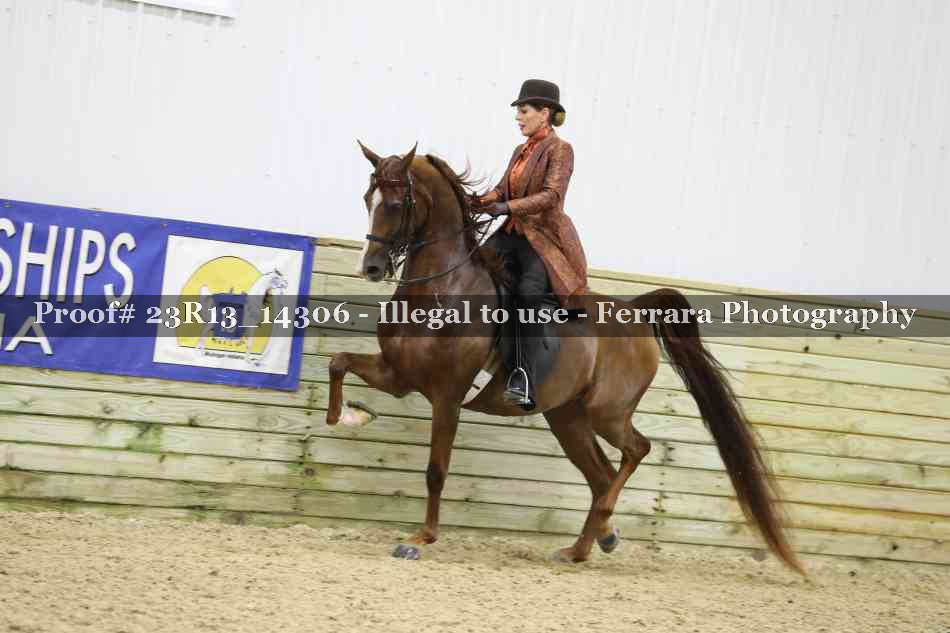 Proof Number 23R13_14306