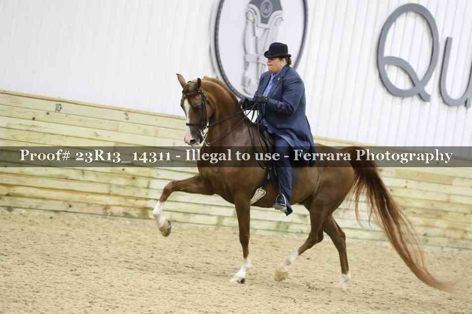 Proof Number 23R13_14311