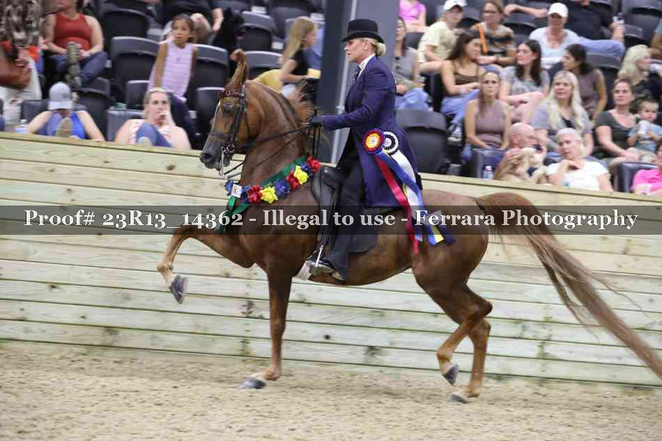 Proof Number 23R13_14362