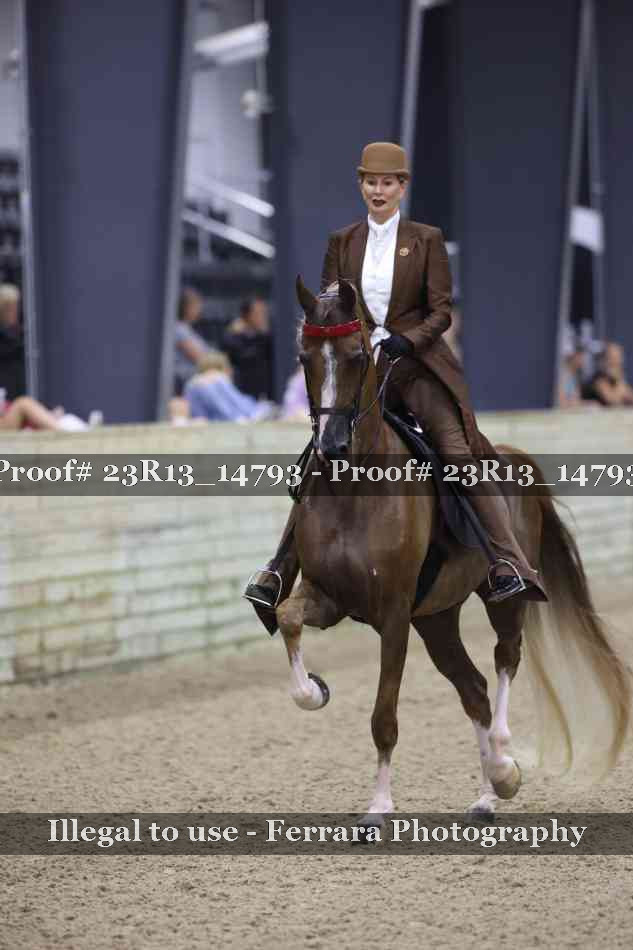 Proof Number 23R13_14793
