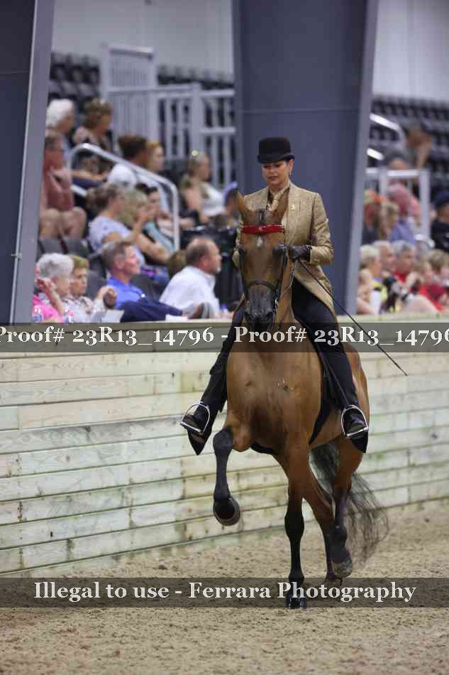 Proof Number 23R13_14796