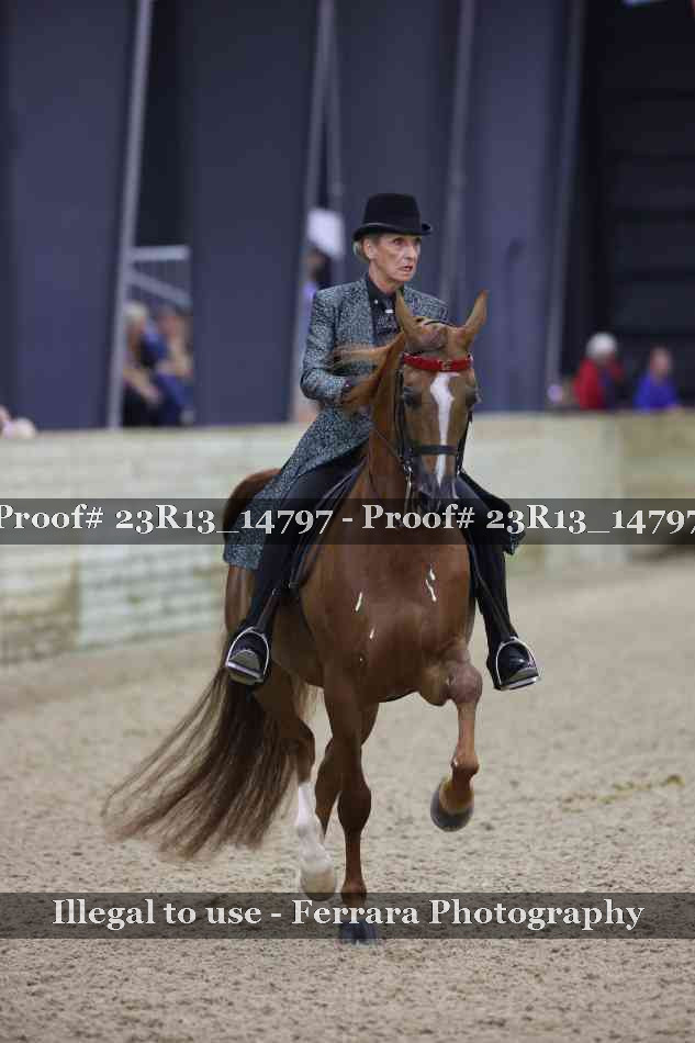 Proof Number 23R13_14797
