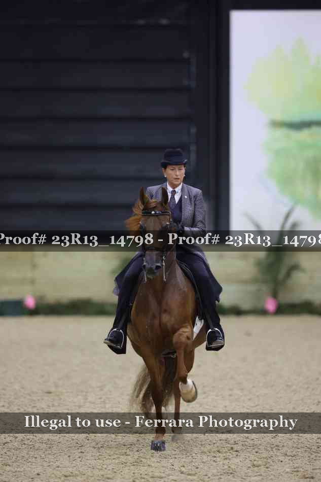 Proof Number 23R13_14798