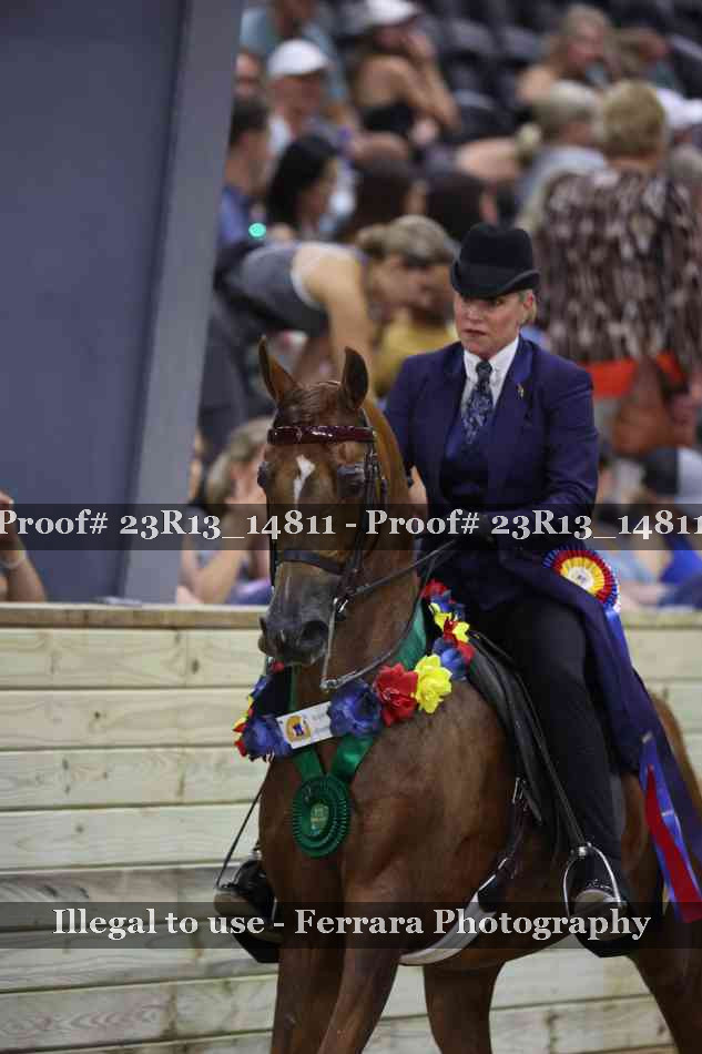 Proof Number 23R13_14811