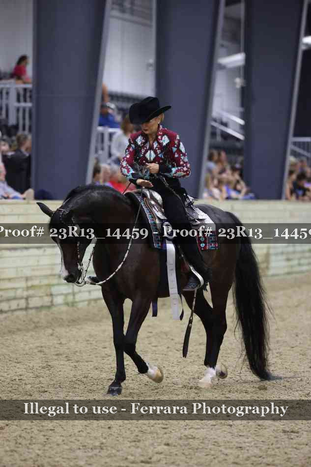 Proof Number 23R13_14459