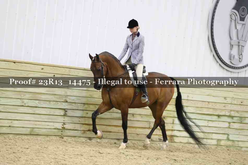 Proof Number 23R13_14475