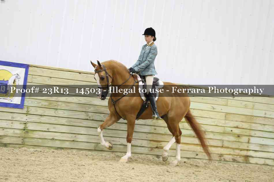 Proof Number 23R13_14503