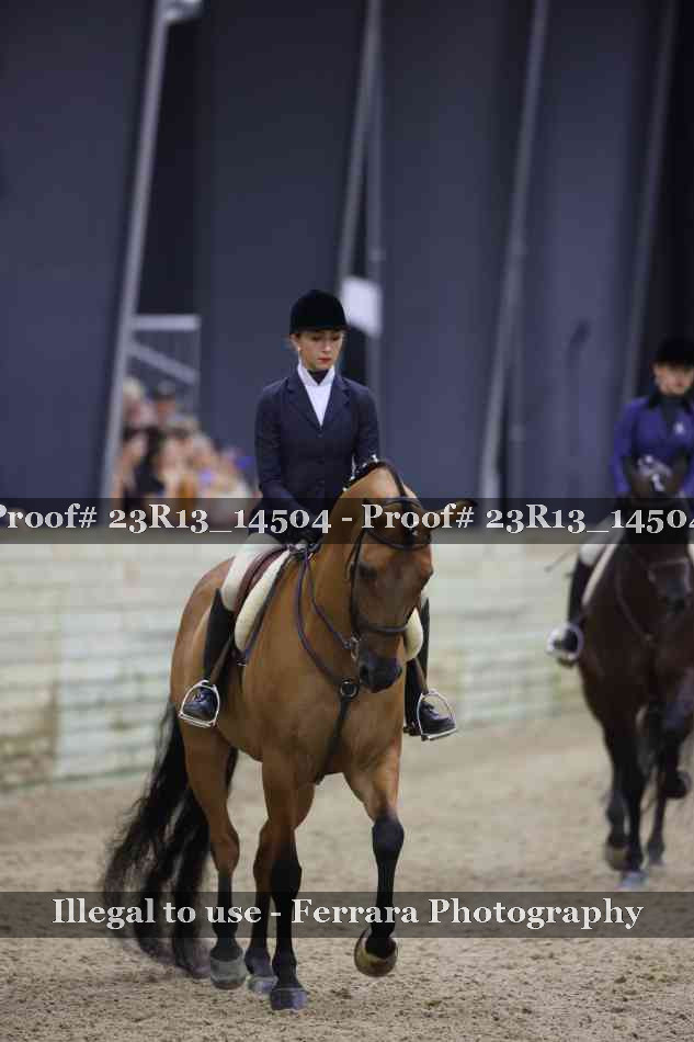 Proof Number 23R13_14504
