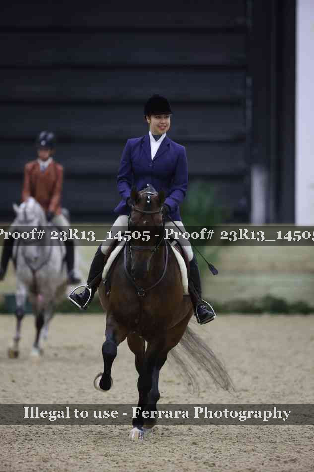 Proof Number 23R13_14505