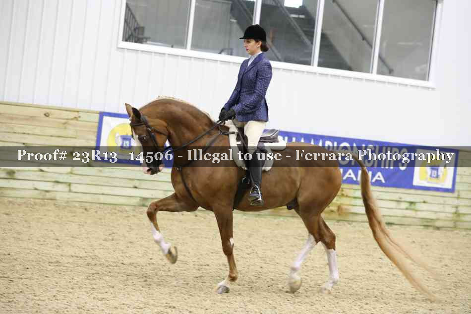 Proof Number 23R13_14506