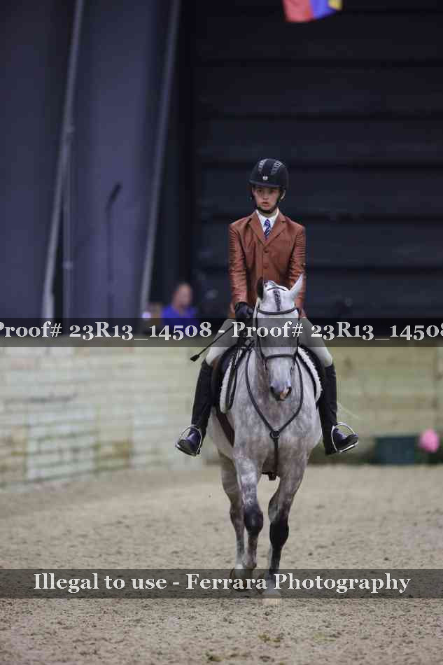 Proof Number 23R13_14508