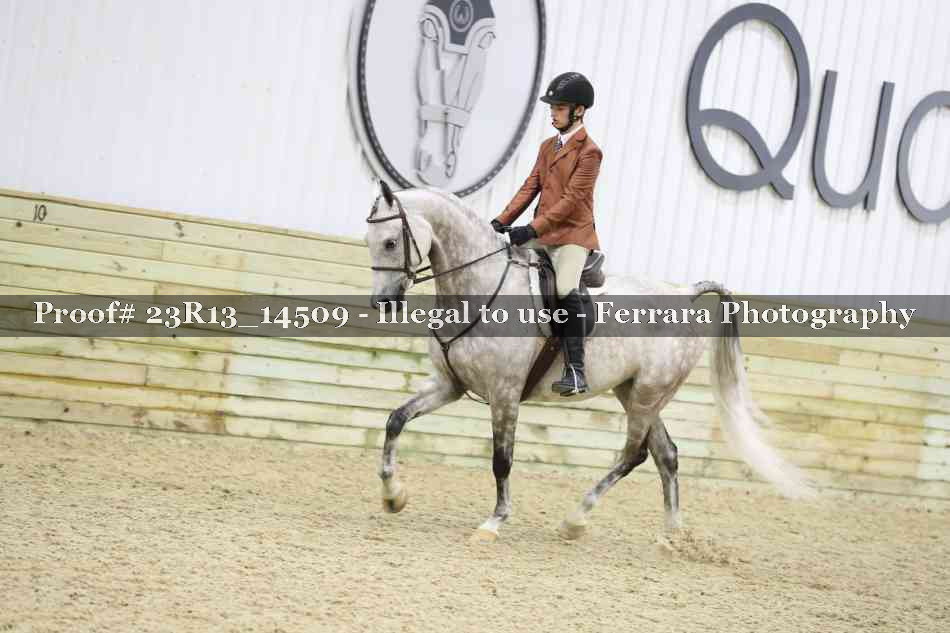 Proof Number 23R13_14509