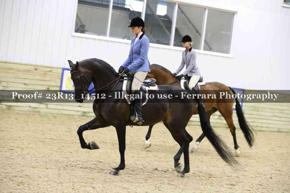 Proof Number 23R13_14512