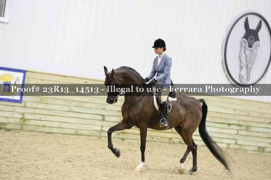 Proof Number 23R13_14513