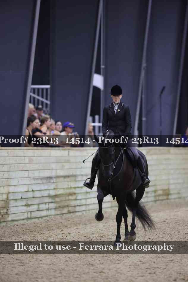 Proof Number 23R13_14514