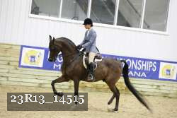 23R13_14515 thumbnail