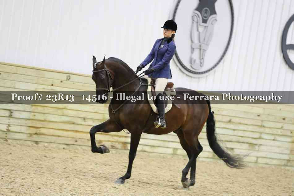 Proof Number 23R13_14516