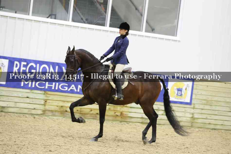 Proof Number 23R13_14517