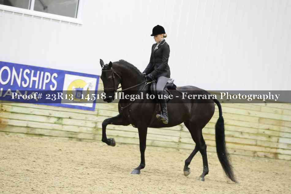 Proof Number 23R13_14518
