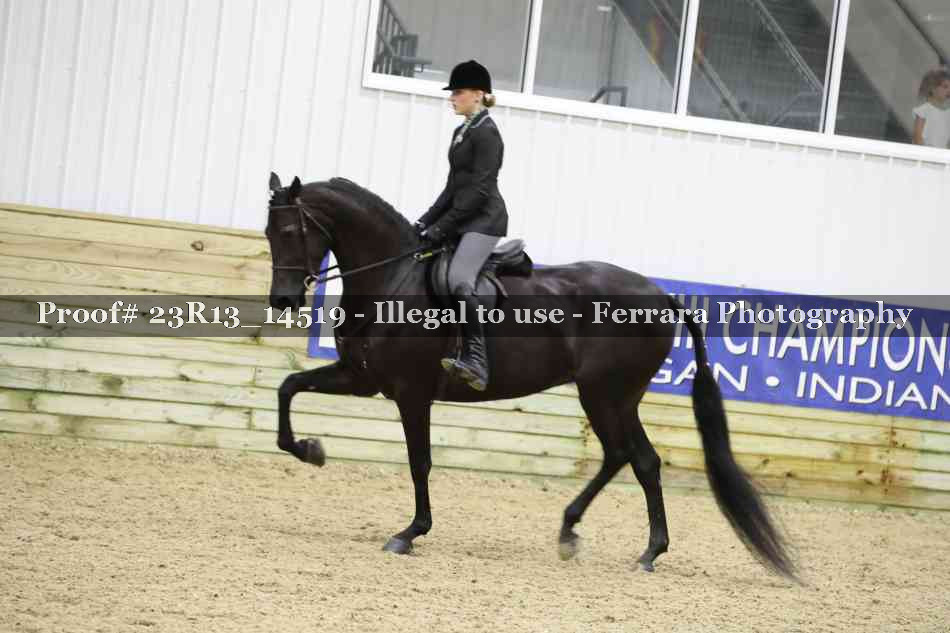 Proof Number 23R13_14519