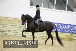 23R13_14519 thumbnail