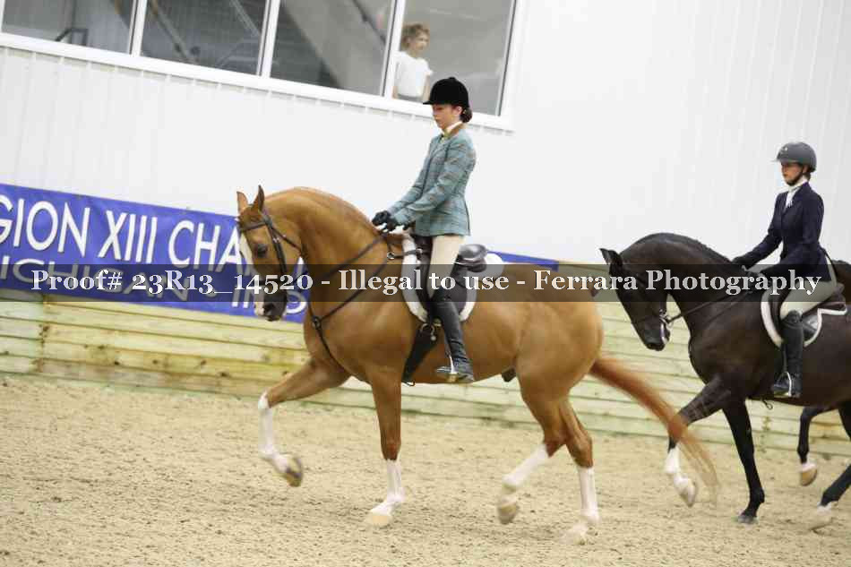 Proof Number 23R13_14520