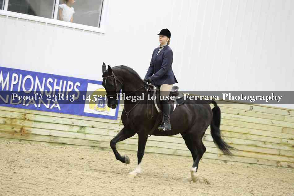 Proof Number 23R13_14521
