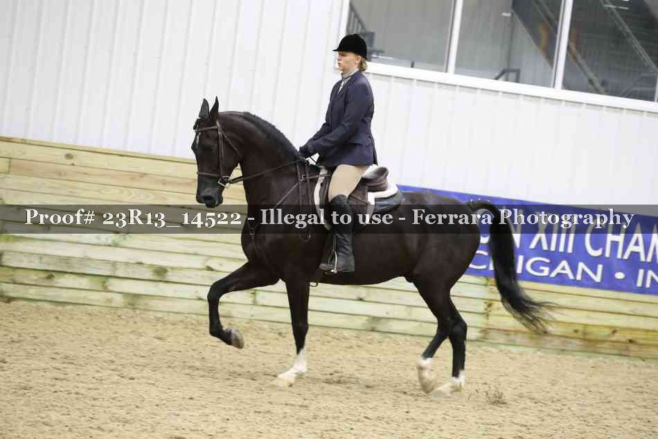 Proof Number 23R13_14522
