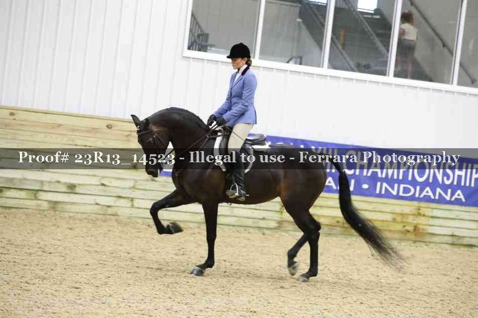 Proof Number 23R13_14523