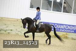 23R13_14523 thumbnail