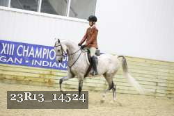 23R13_14524 thumbnail