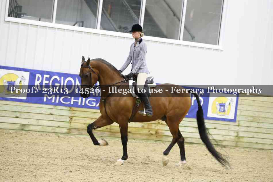 Proof Number 23R13_14526