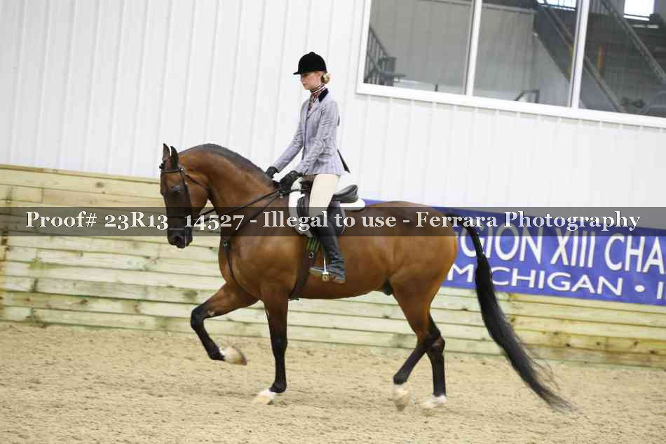 Proof Number 23R13_14527