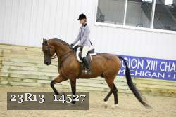 23R13_14527 thumbnail