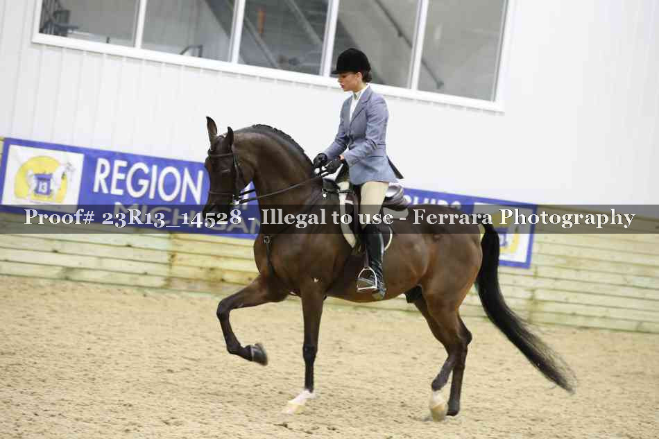 Proof Number 23R13_14528
