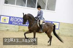 23R13_14528 thumbnail