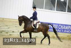 23R13_14529 thumbnail