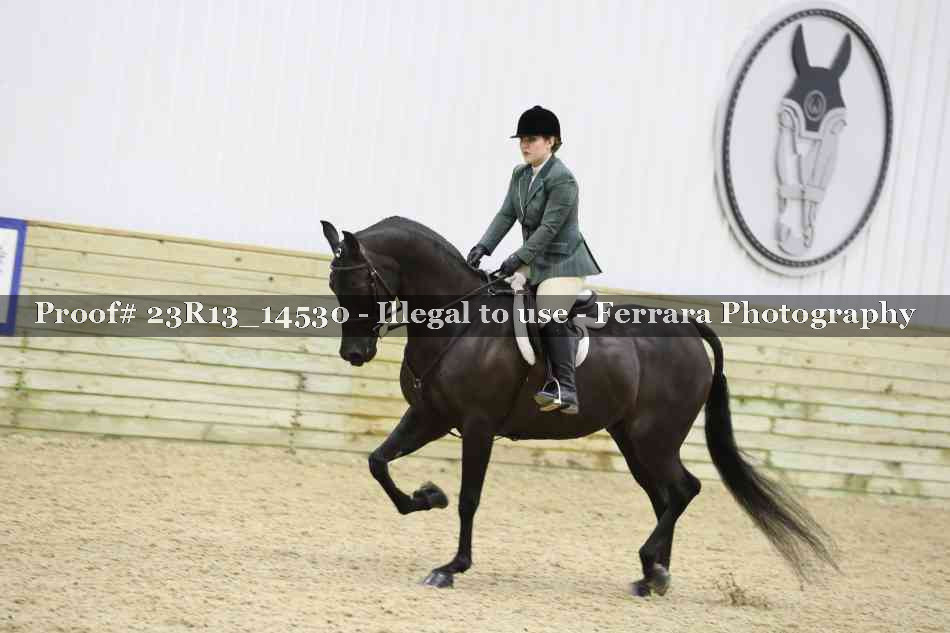 Proof Number 23R13_14530